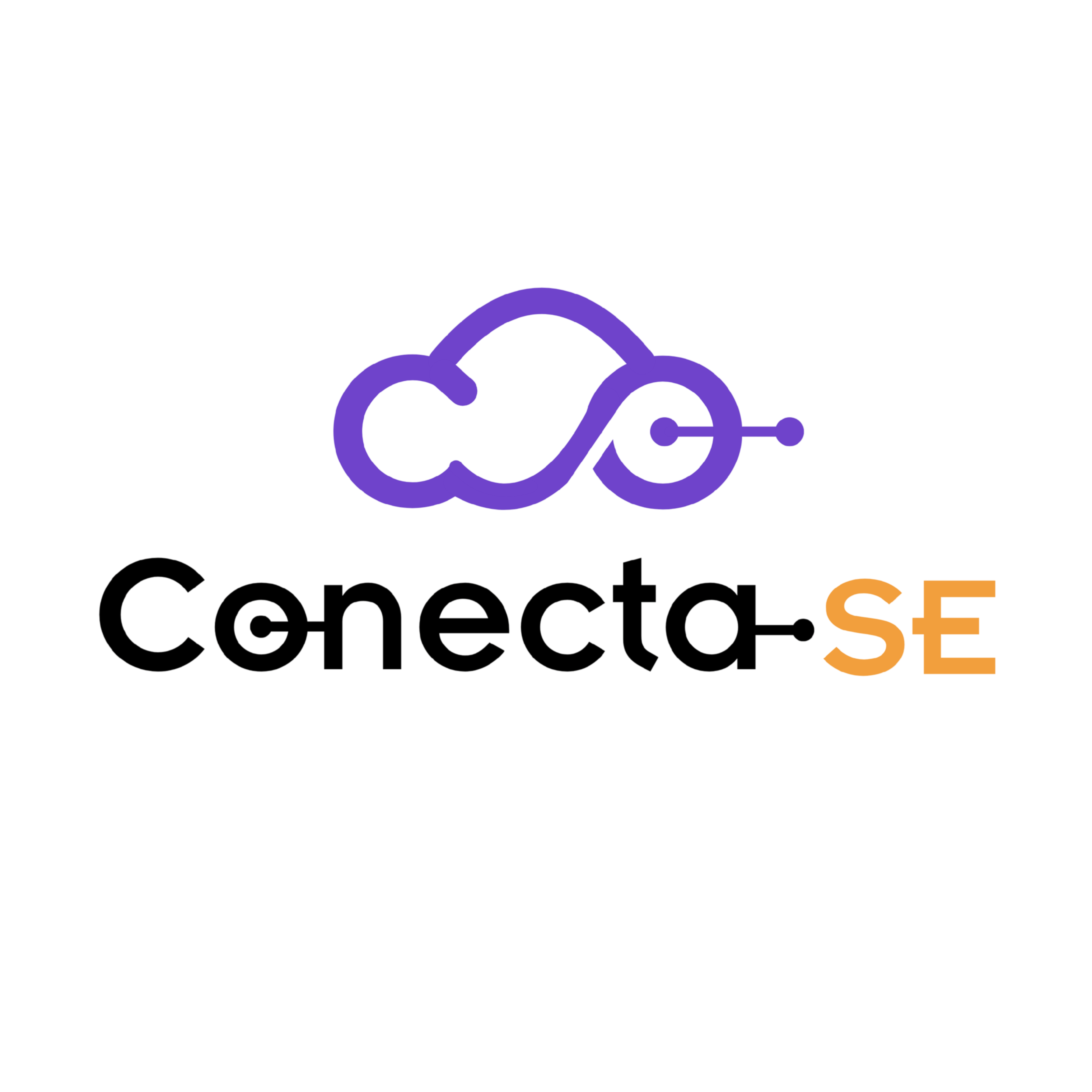 Equipo Conecta-SE trabajando